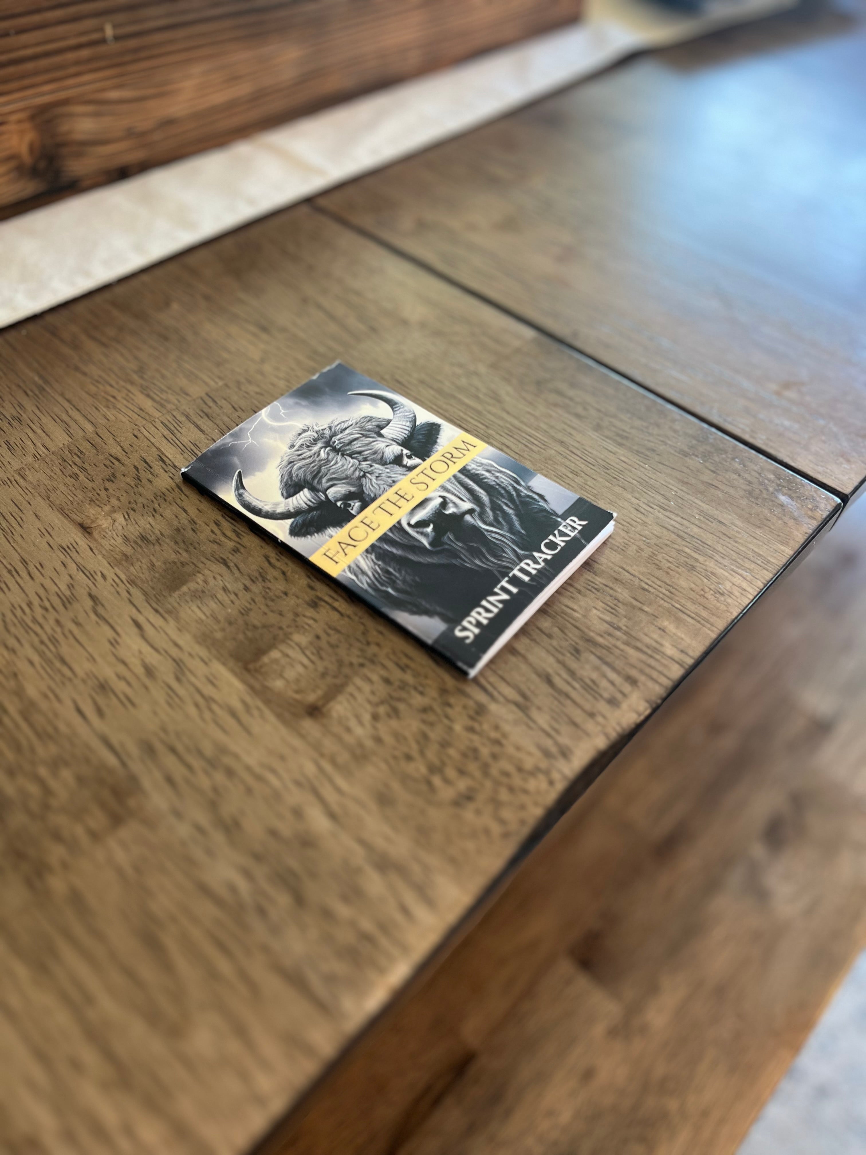 Daily Journal - Sprint Tracker 3 pack