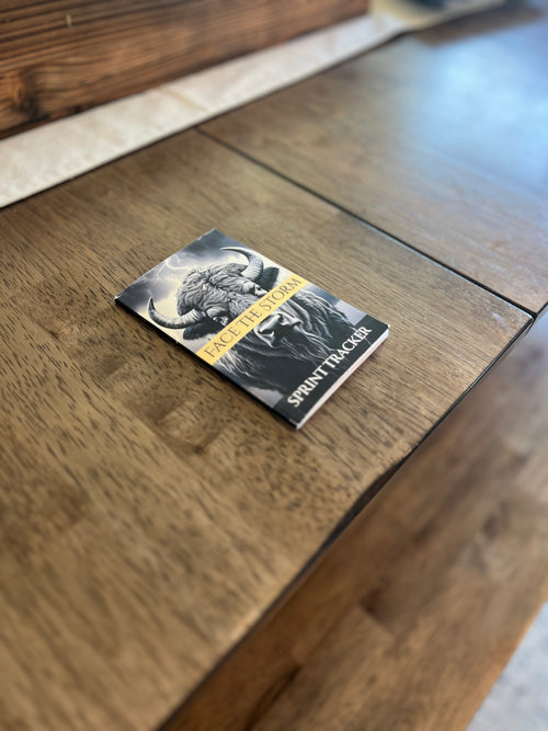 Daily Journal - Sprint Tracker 3 pack