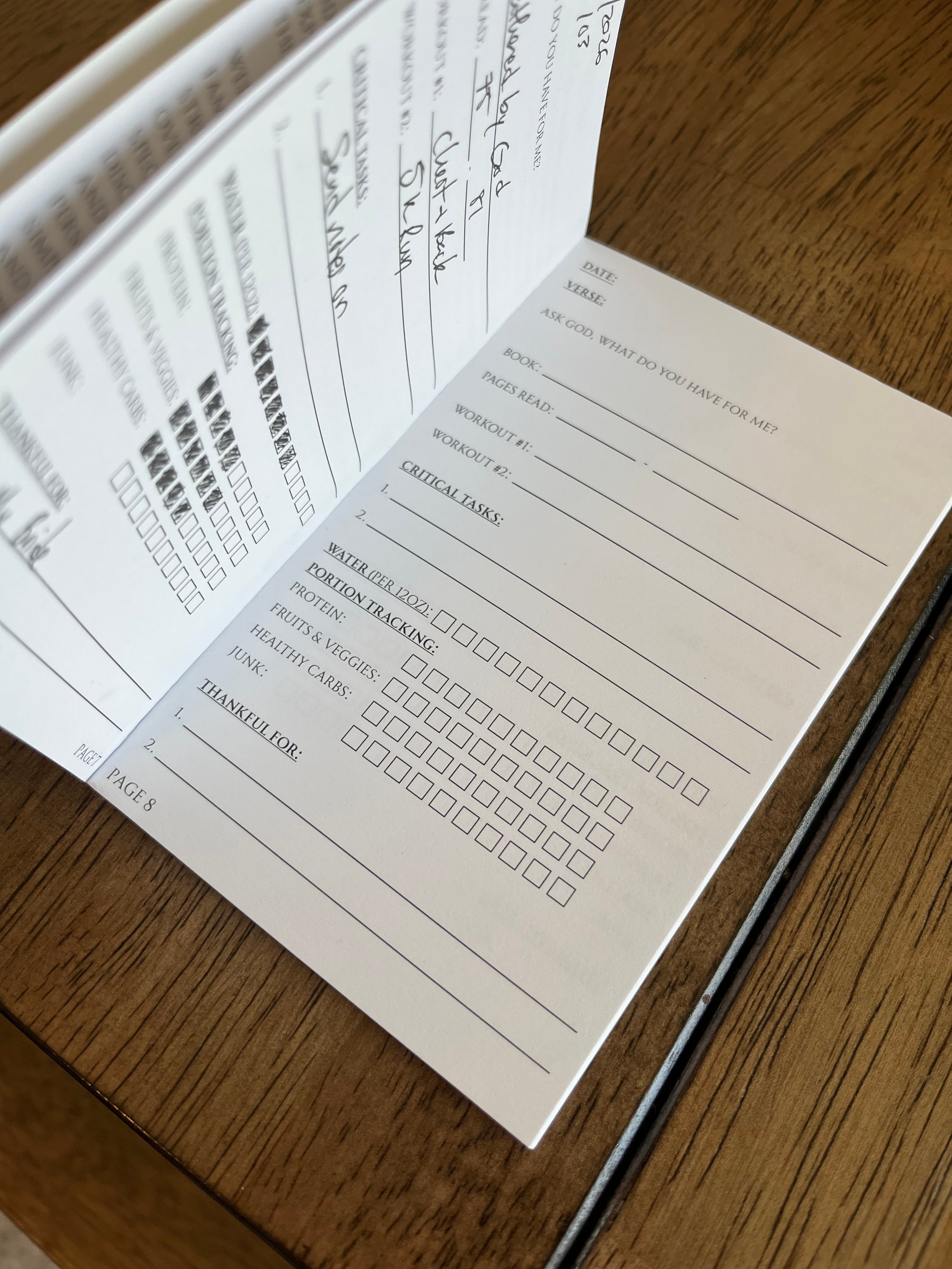 Daily Journal - Sprint Tracker 3 pack